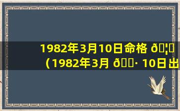 1982年3月10日命格 🦅 （1982年3月 🌷 10日出生的人什么命）